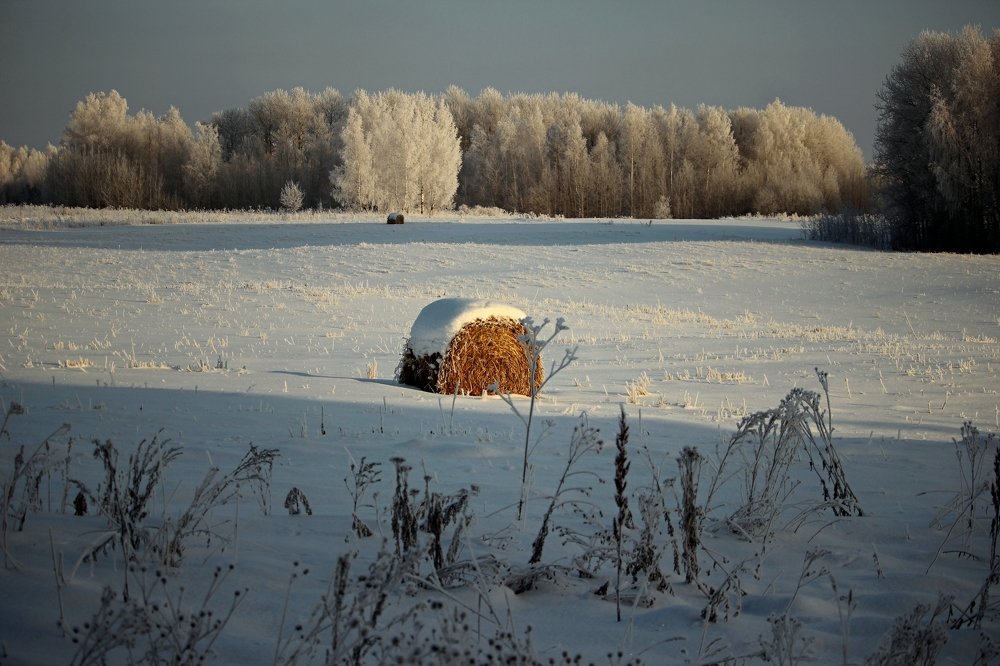 Photograph by 