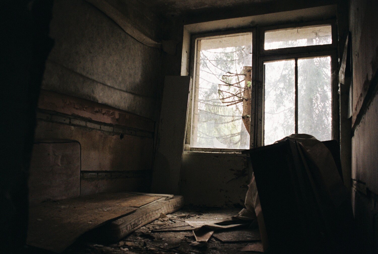 Photo #3636612