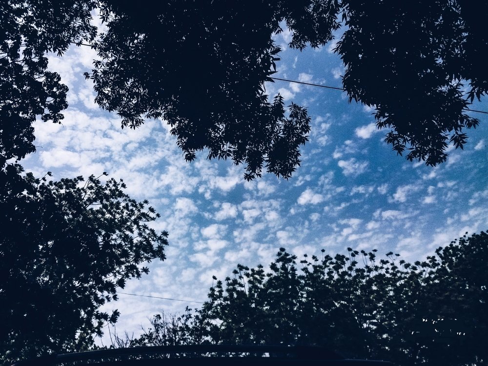 Photograph by Rumesa
