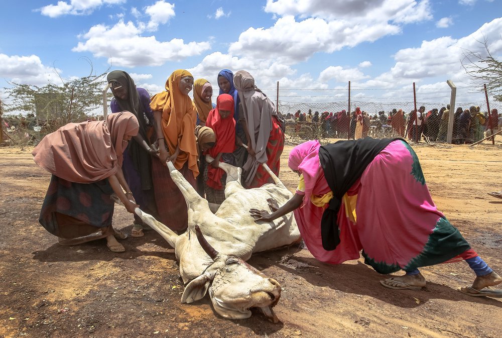 Power of Hunger Women.