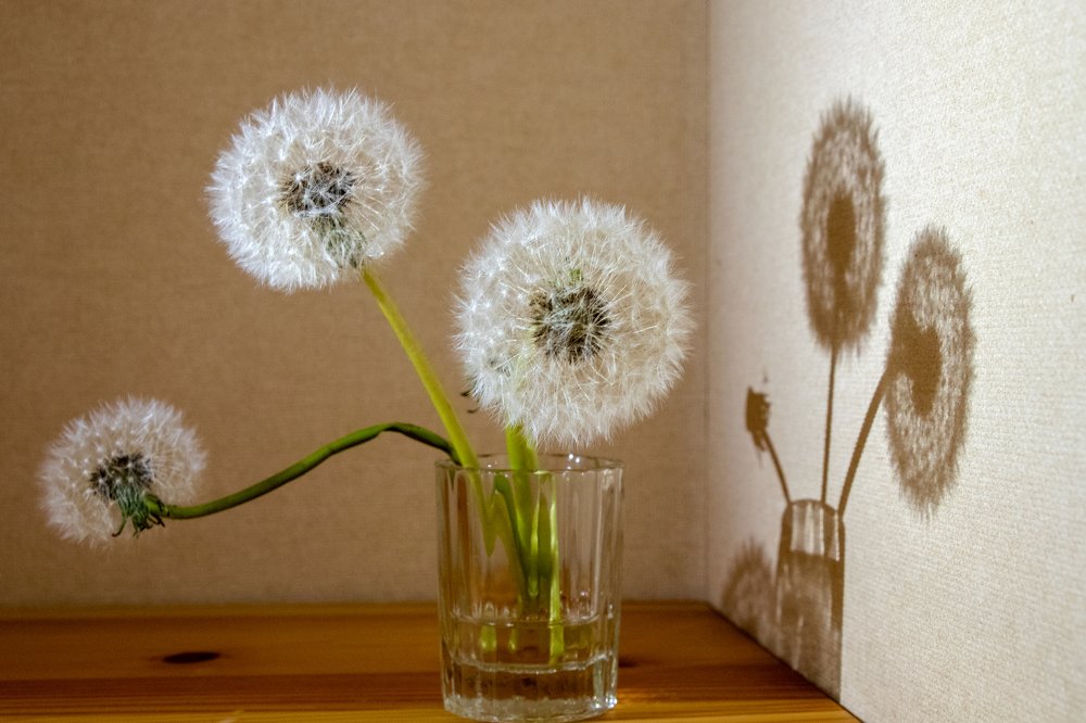 Хрупкий букет воспоминаний (F fragile bouquet of memories)