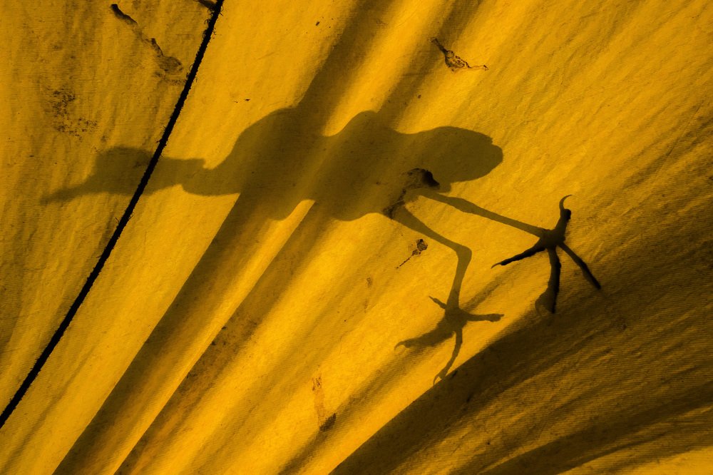 Photograph by sanjeet tripathy