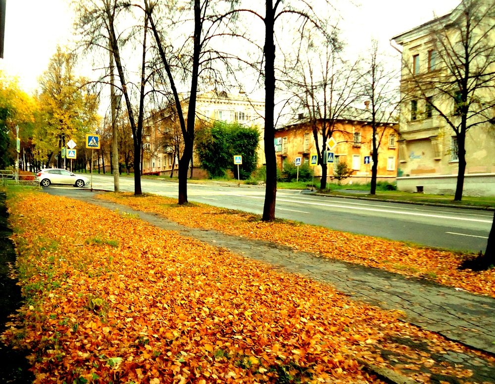 Photograph by Сергей Хвостовец