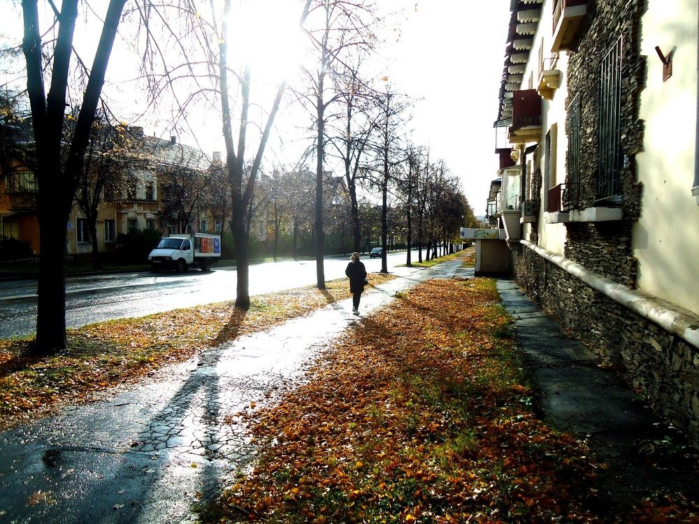 После дождя