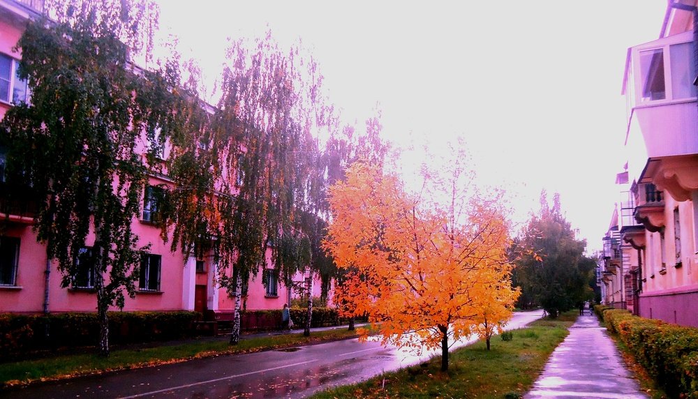 Photograph by Сергей Хвостовец