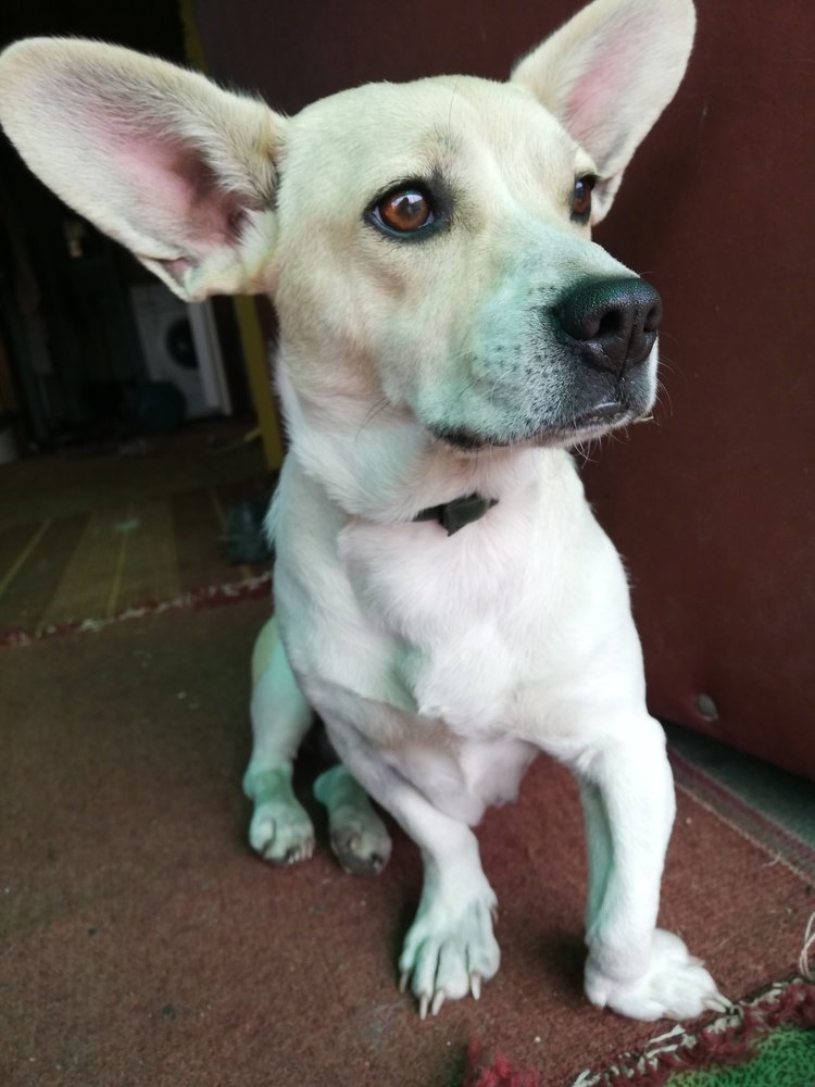 Photograph by Татьяна Афанасьева