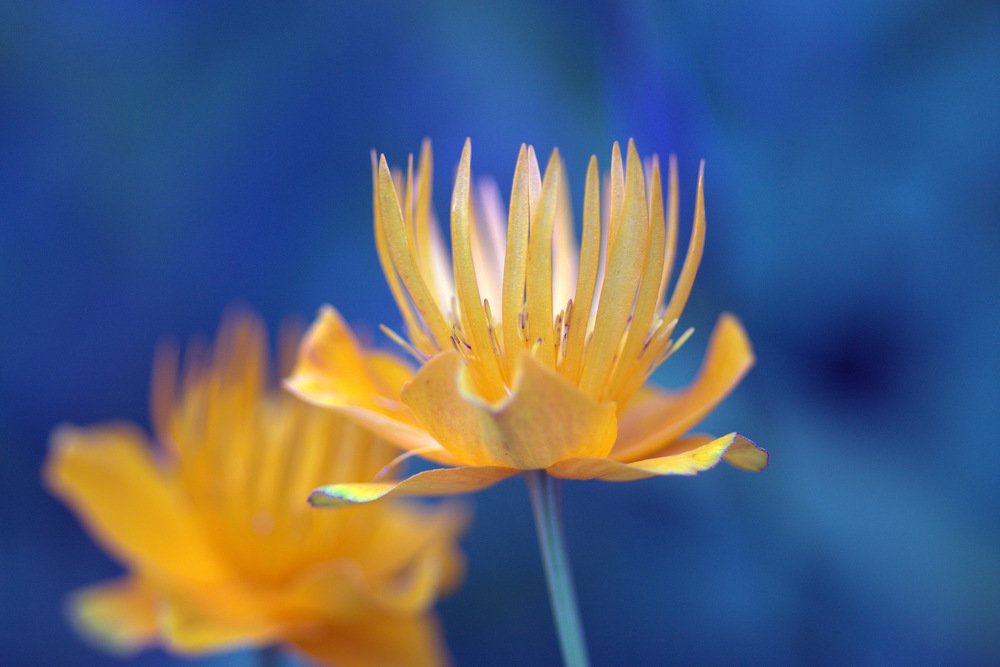 Photograph by Виктор Игнатенко.