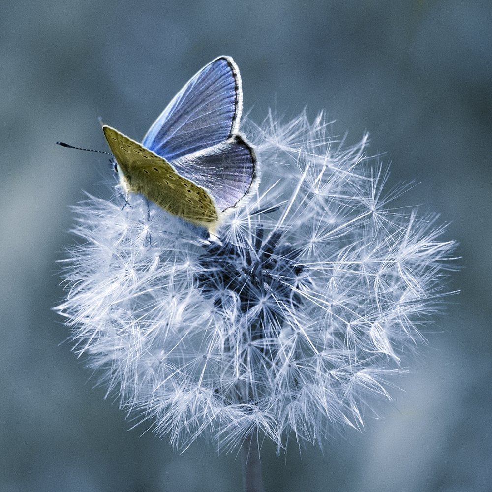 Photograph by Руслан Гончар