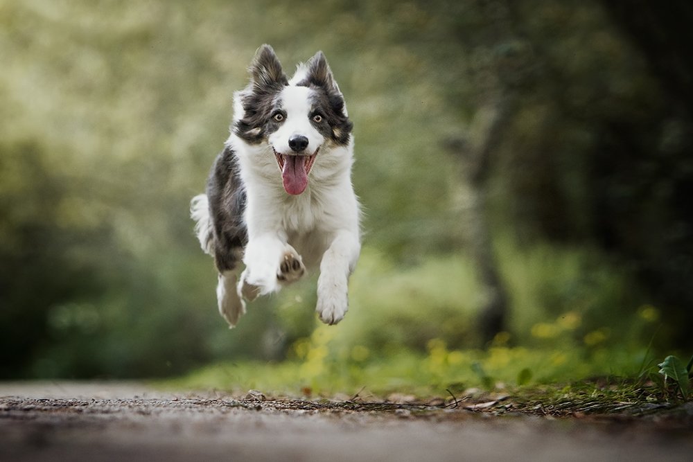 Photograph by Alexandre Marques