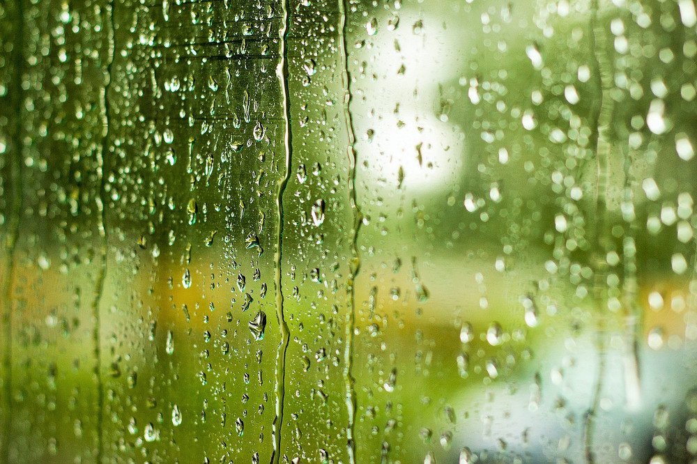 когда на улице дождь...