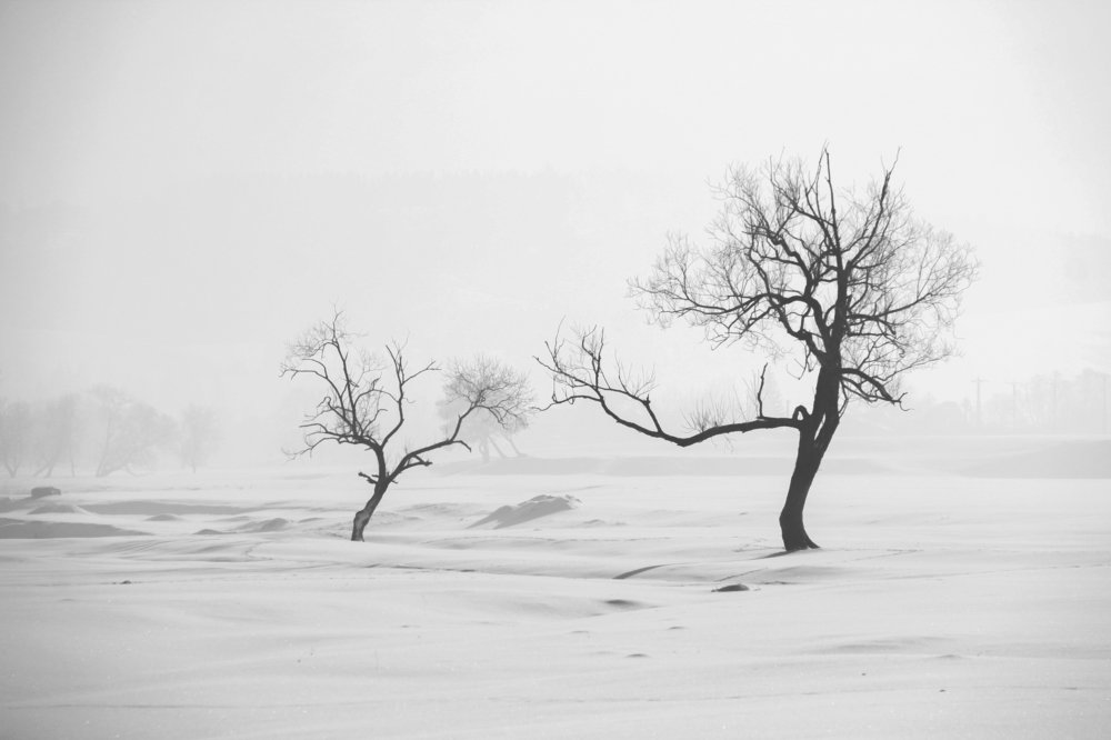 Фотография #3637002