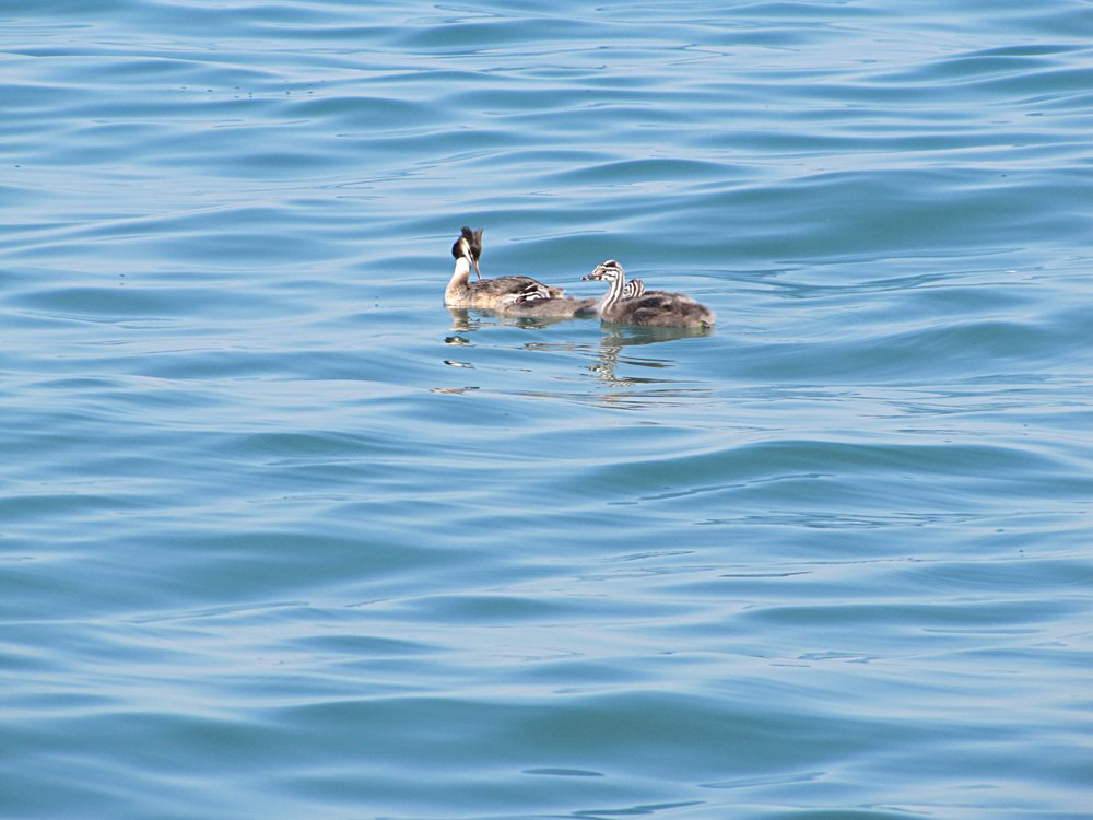 Photograph by Наталья