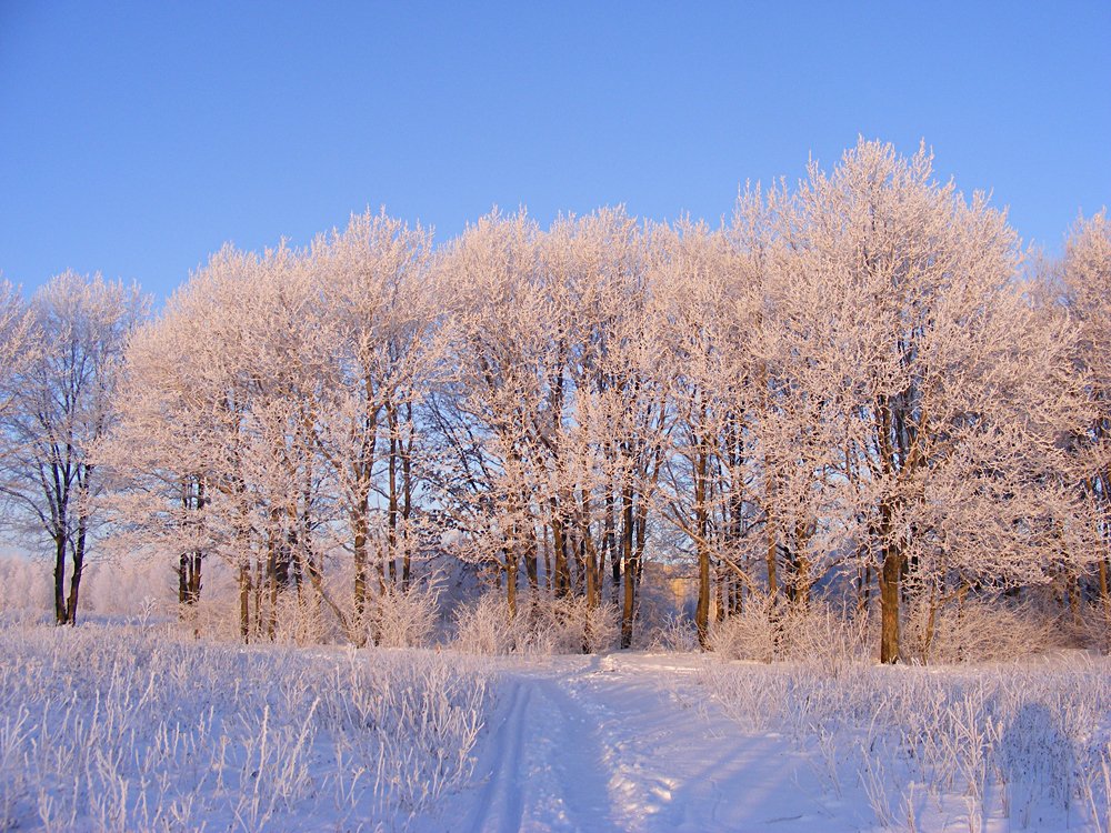 Photograph by Наталья