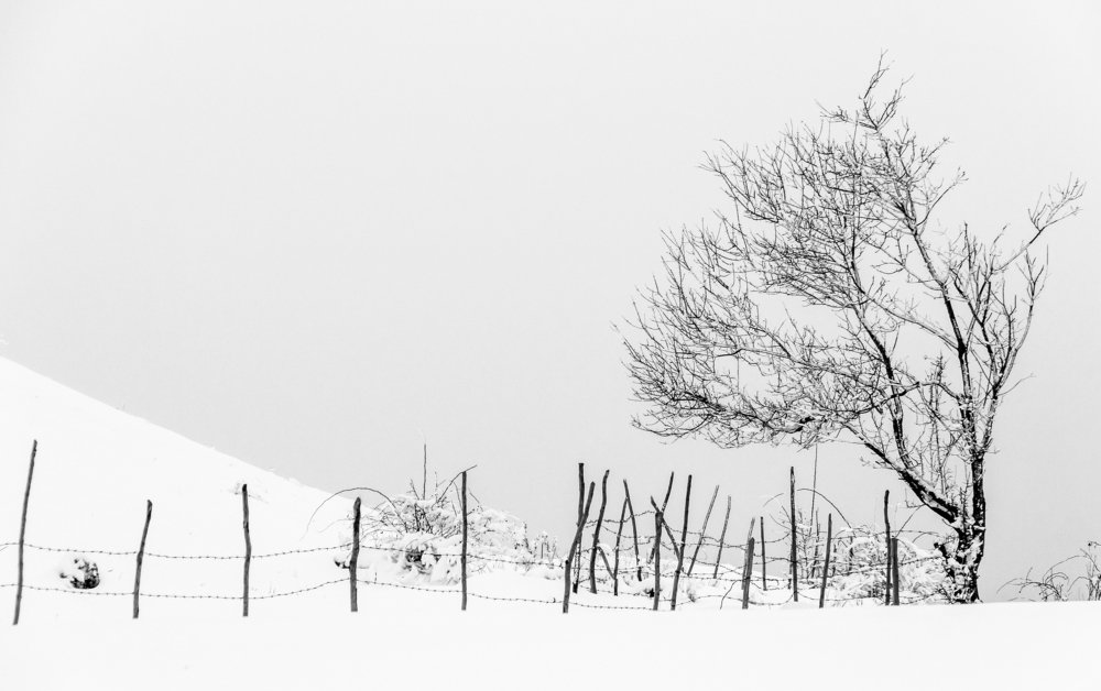 Фотография автора Comșa Bogdan