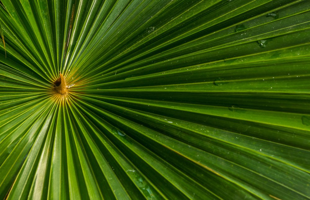 Фотография автора Comșa Bogdan
