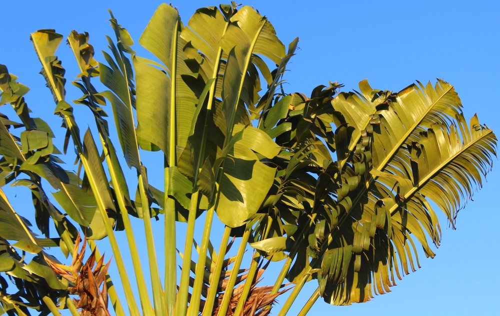 Photograph by Régis Santos