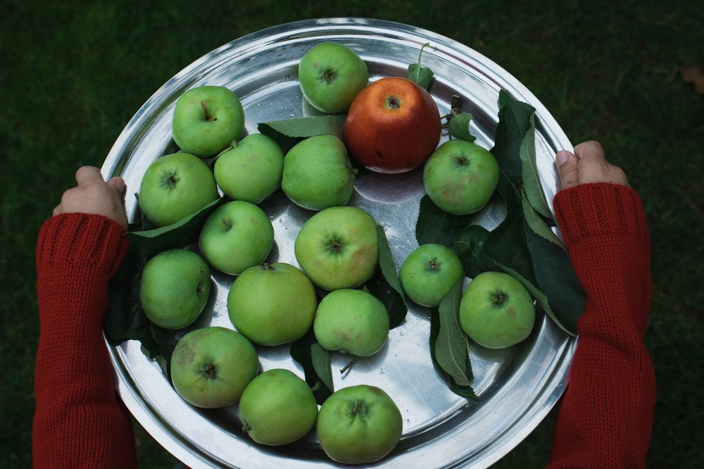 Photograph by Юлия Кучеева