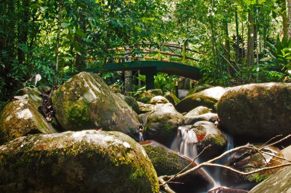 Photograph by DALSAH DARWIS