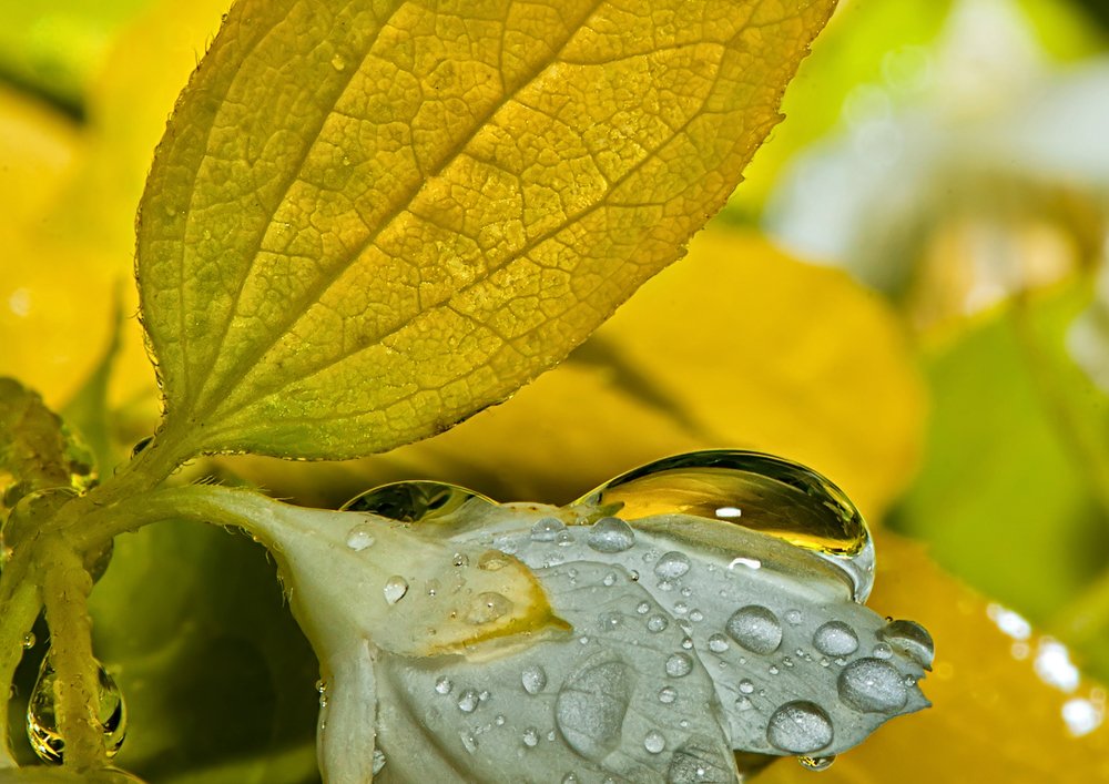 Photograph by Александр Демин