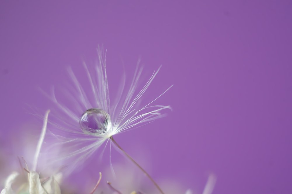 Photograph by Екатерина Моргун