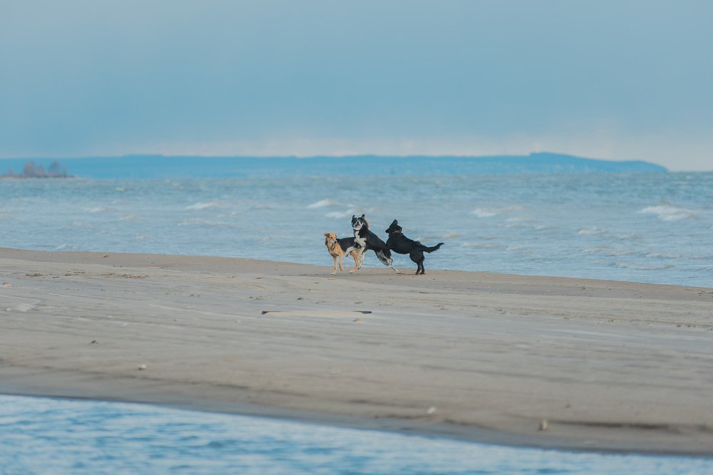 Photograph by Зухра Галиуллина