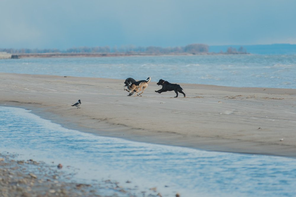 Photograph by Зухра Галиуллина