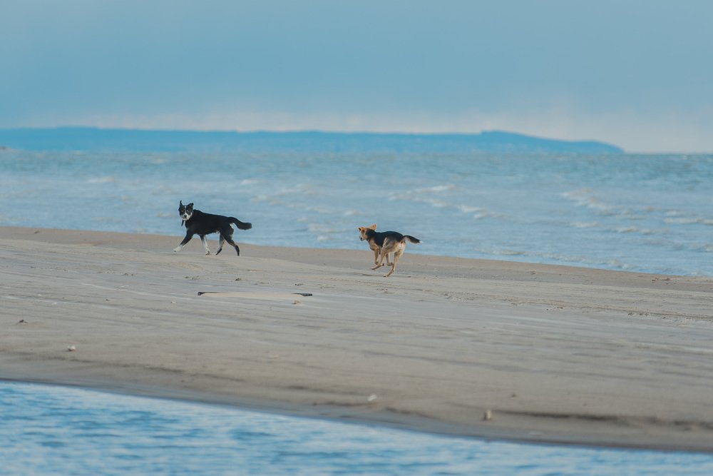 Photograph by Зухра Галиуллина