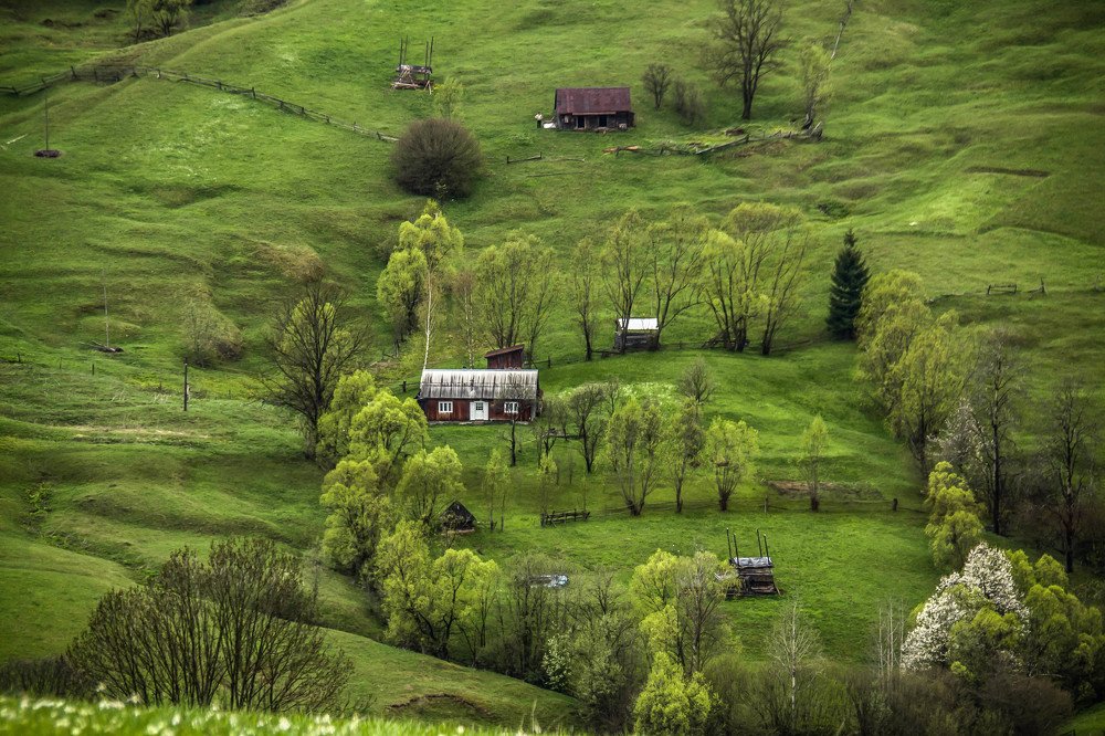 Photograph by Елена Боржковская