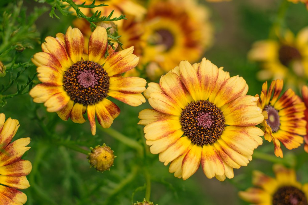 Photograph by Татьяна Мельник