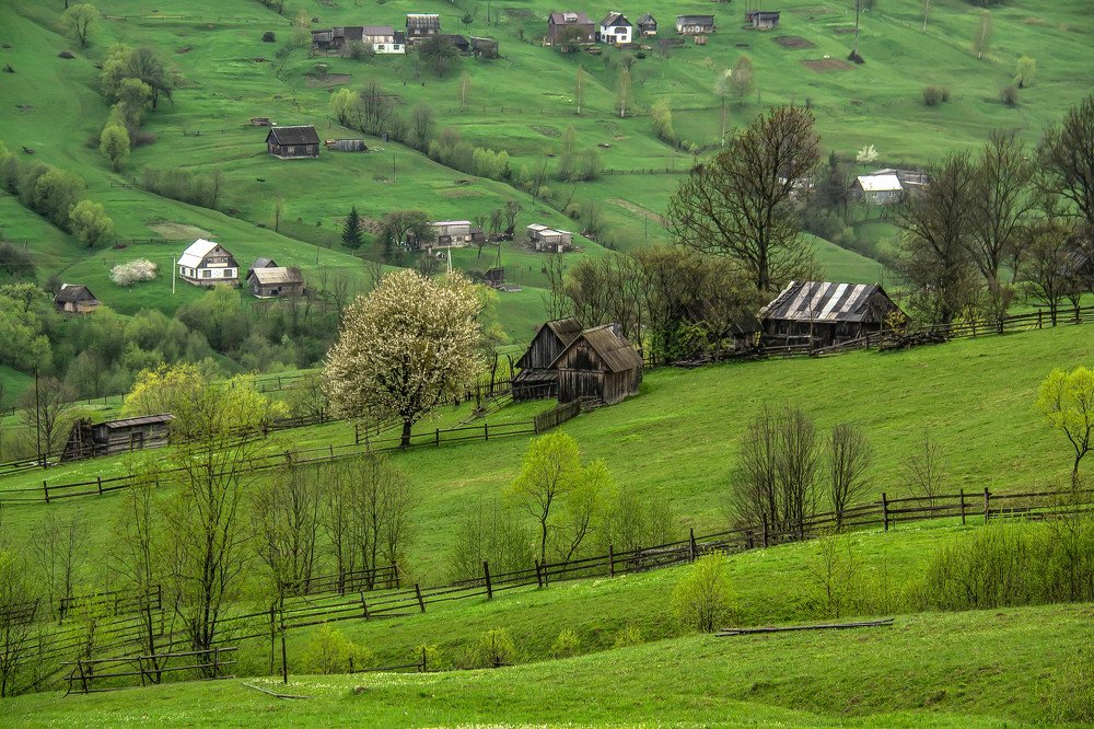 Photograph by Елена Боржковская