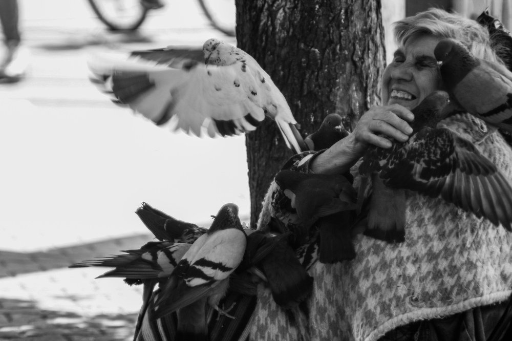 Фотография автора Ivelina Petkova