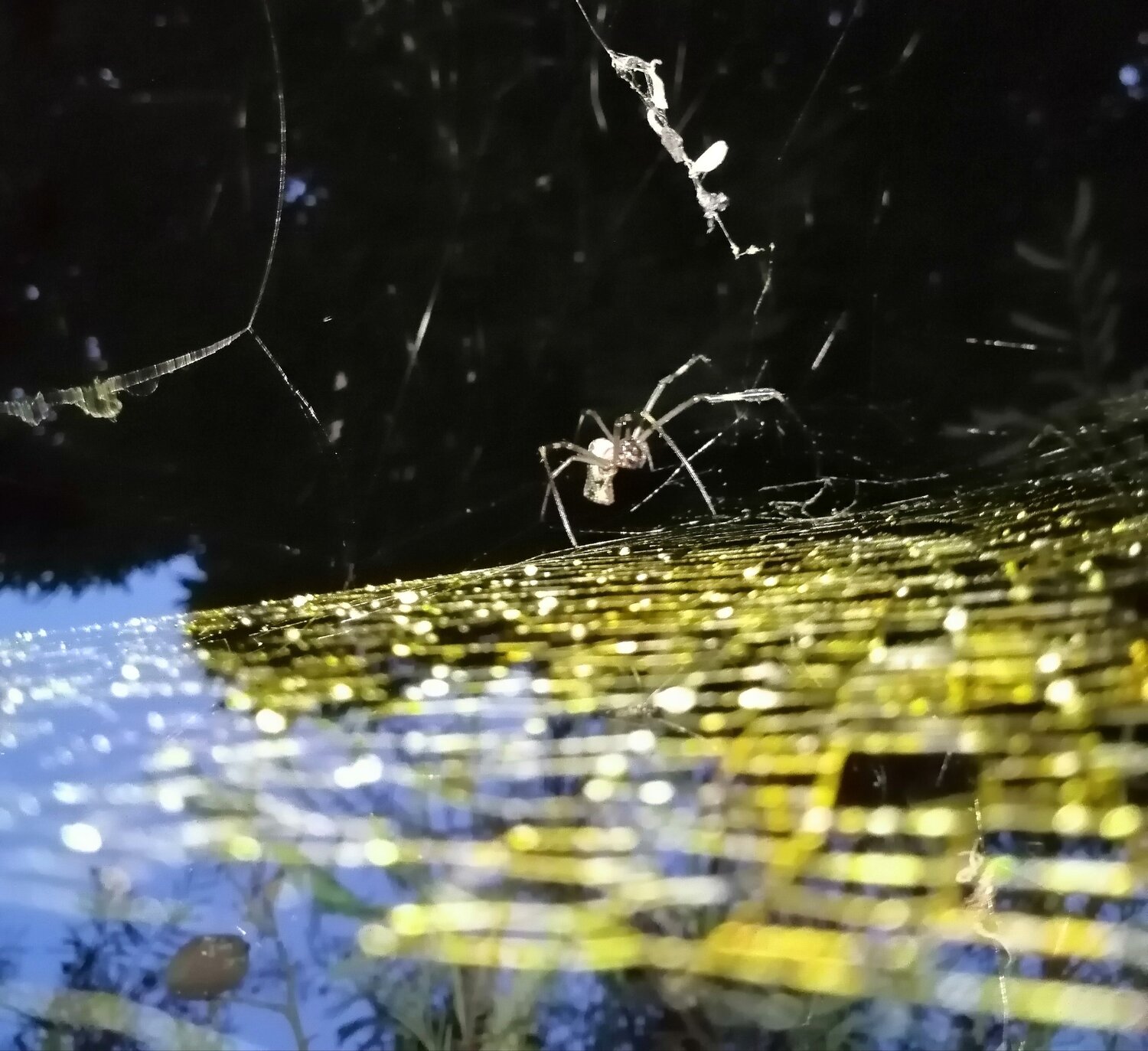Photo #3637265