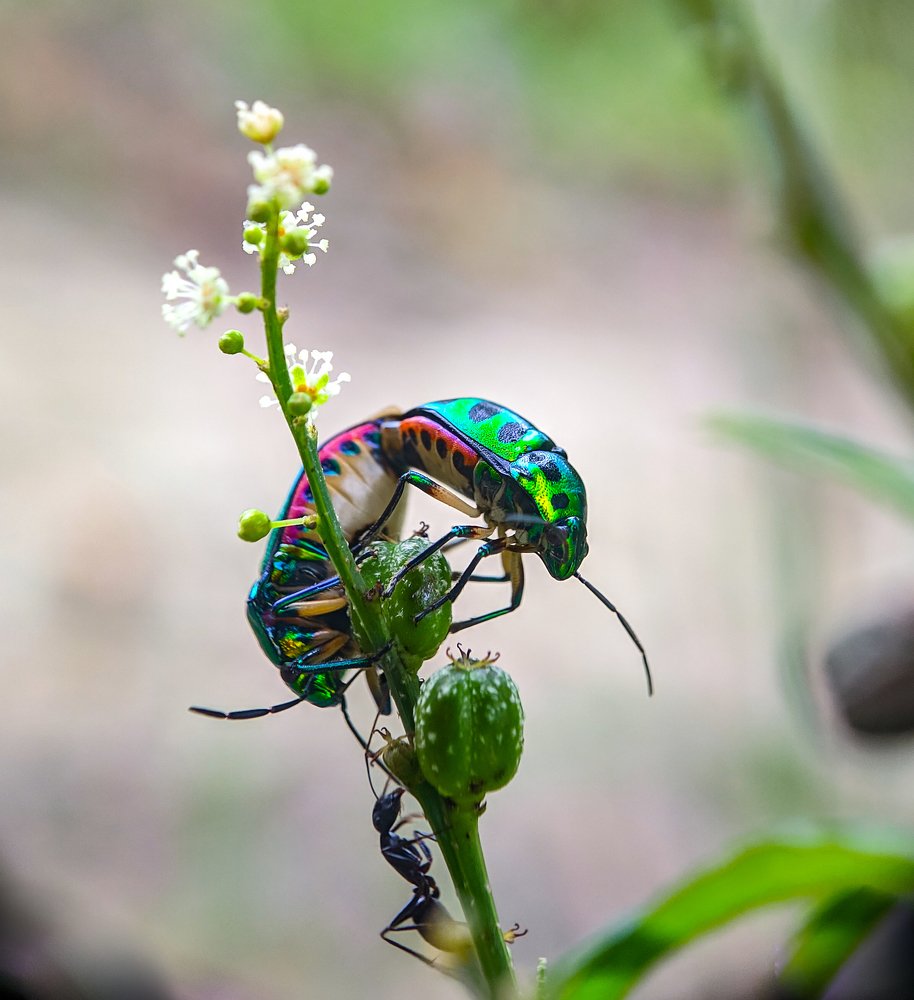 Photograph by Abhishek Manna