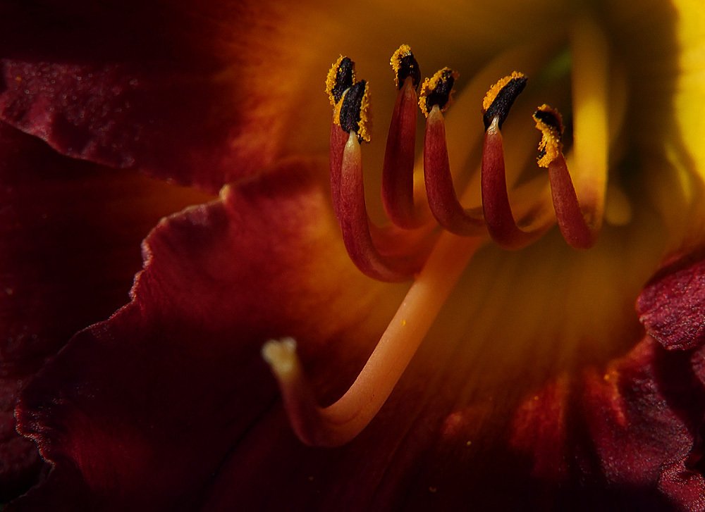 Photograph by Александр Демин