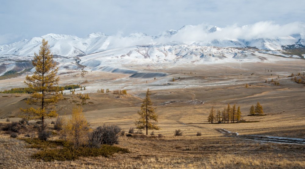 Фотография автора Виктор Чистов