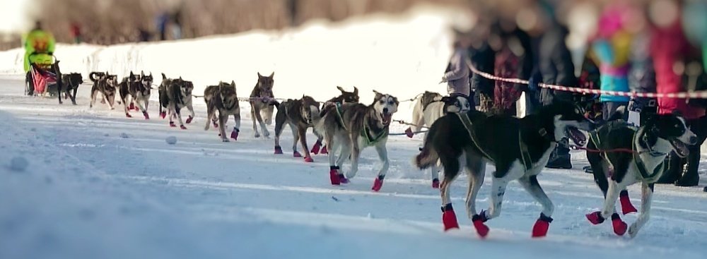 Photograph by OLESYA KASPROVA