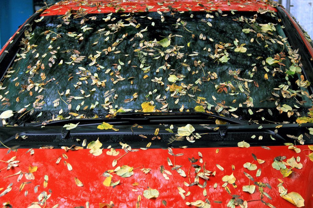 Осень на колёсах