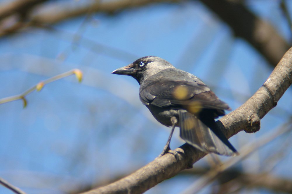 Фотография автора Ivelina Petkova