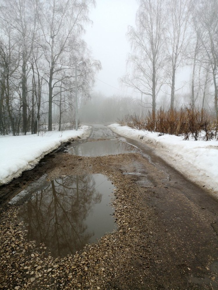 Photograph by Степанов Евгений