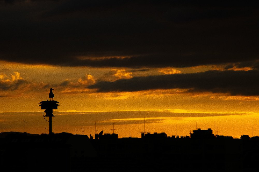 Фотография автора Ivelina Petkova