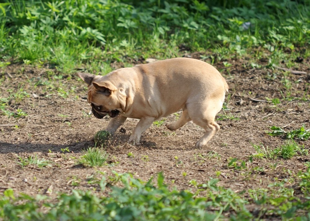 Photograph by Марина Кудрявцева