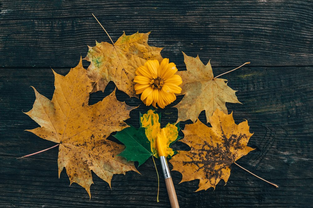 Краски осени) желтый