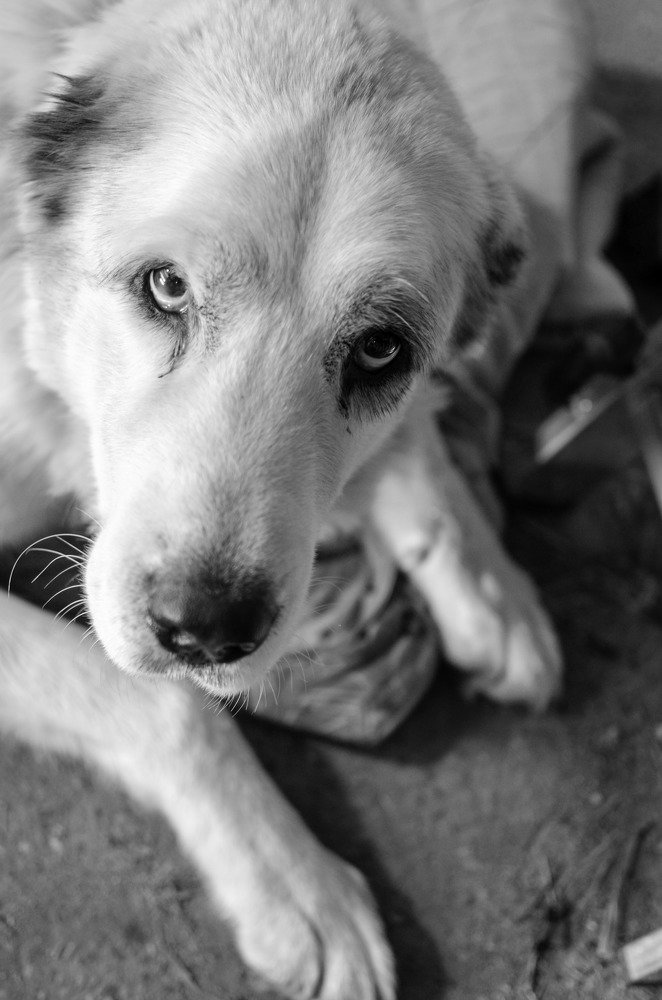 Photograph by Катя