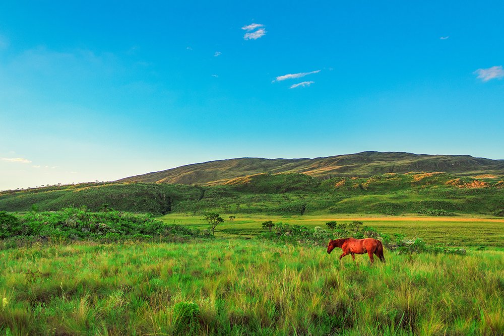 Photograph by Felipe Augusto