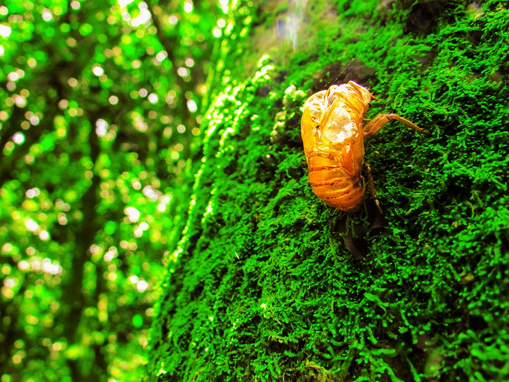 Photograph by Felipe Augusto