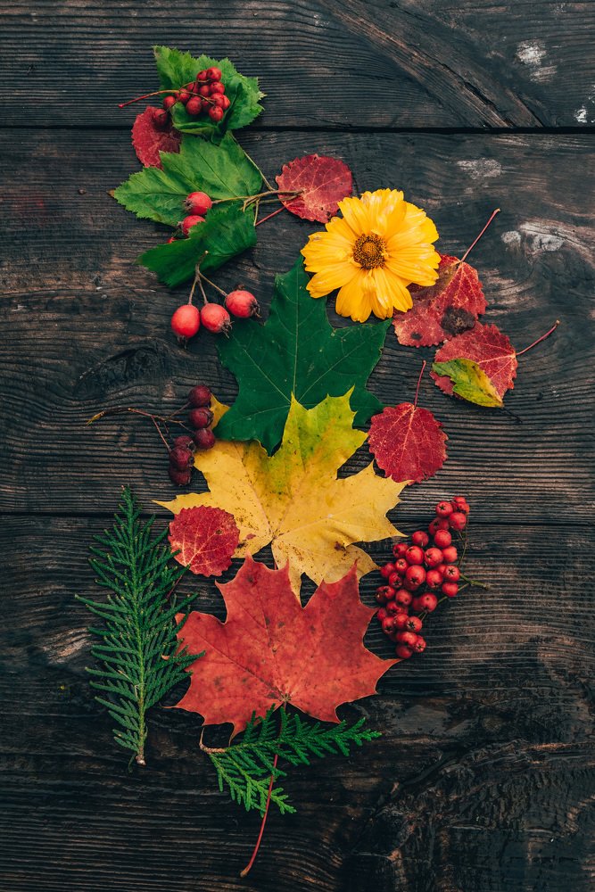 Photograph by Сергей