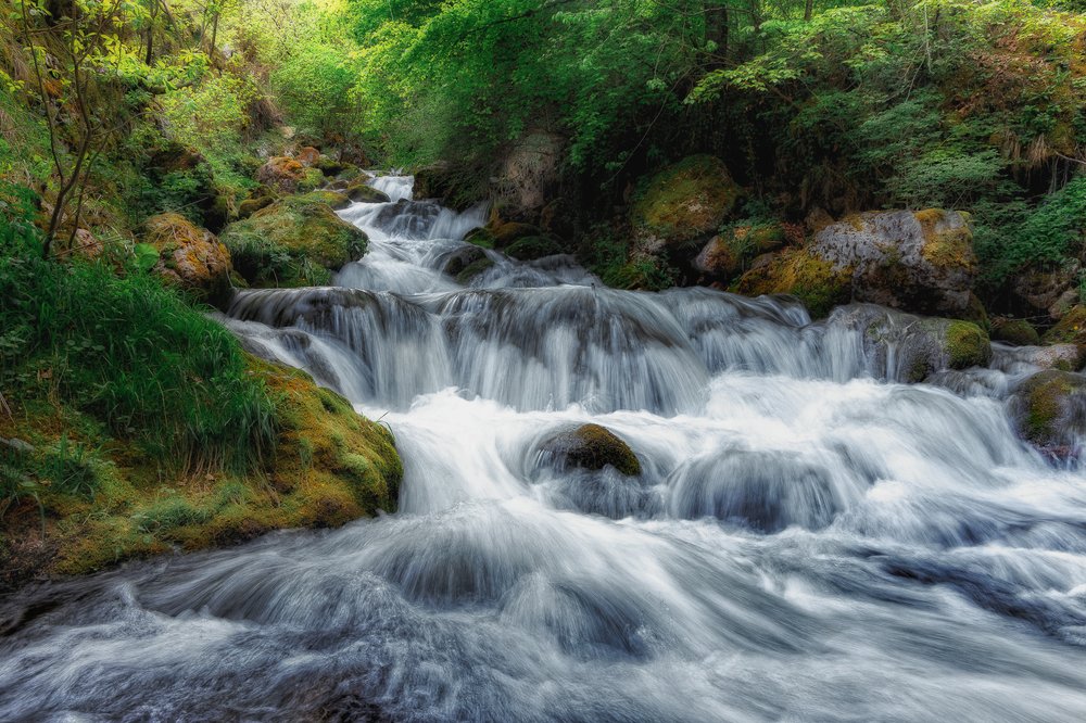 Photograph by Роман Мурашов