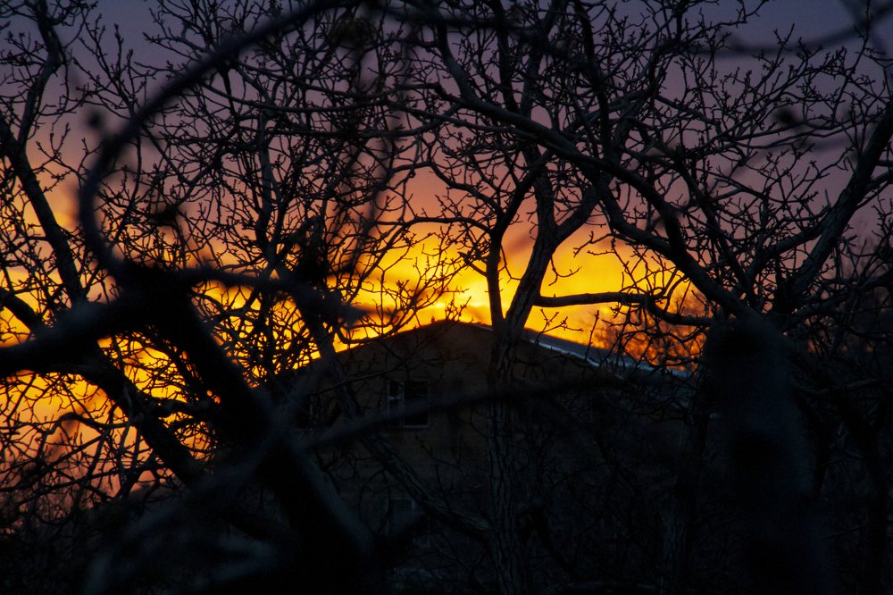 Фотография автора sose