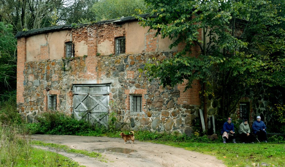 Фотография автора Кастусь