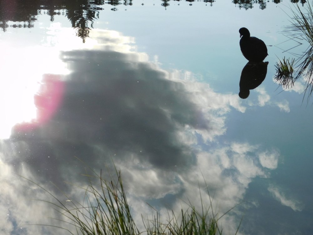 Photograph by Zsofia Schmidt-Mudik